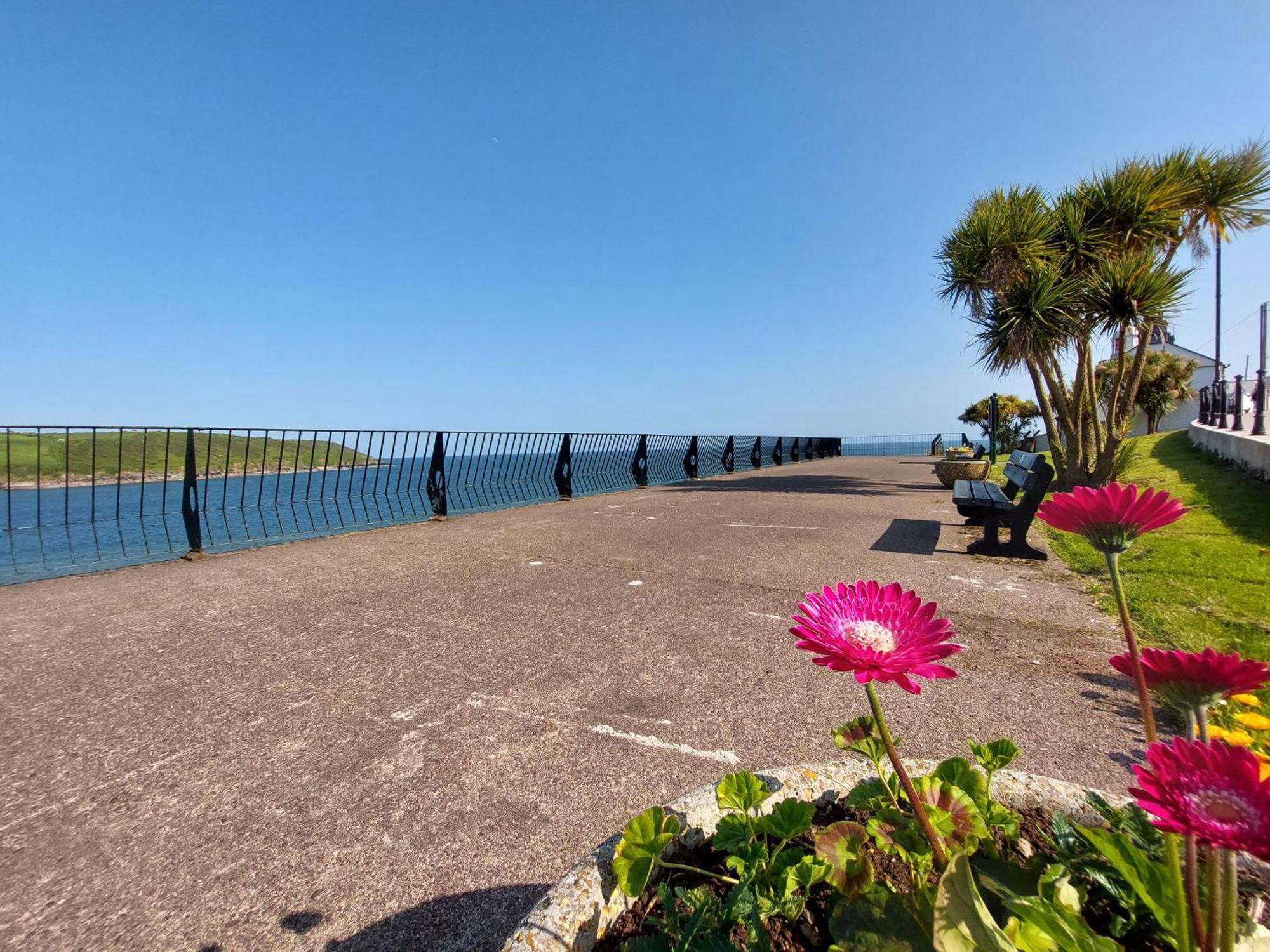 Happy Sandy Feet: Cozy Seaside Retreat in Youghal Exterior photo